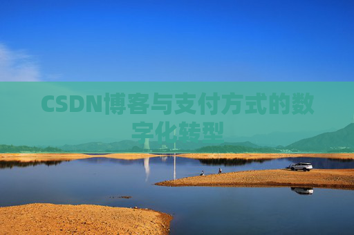 CSDN博客与支付方式的数字化转型